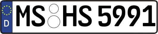 MS-HS5991