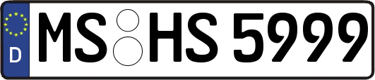 MS-HS5999