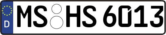 MS-HS6013