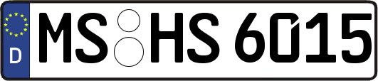 MS-HS6015