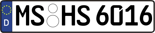 MS-HS6016