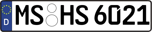 MS-HS6021