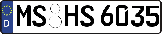 MS-HS6035