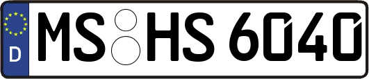 MS-HS6040