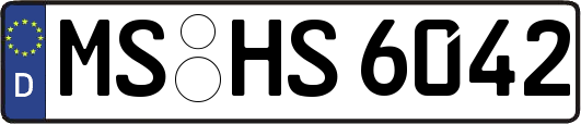MS-HS6042