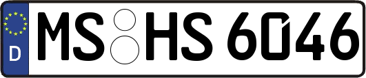 MS-HS6046