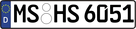 MS-HS6051