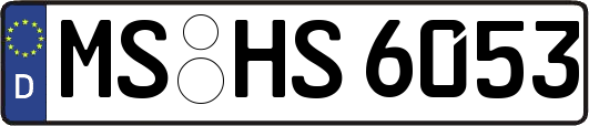 MS-HS6053