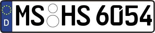 MS-HS6054
