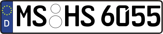 MS-HS6055