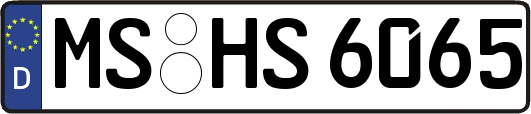 MS-HS6065