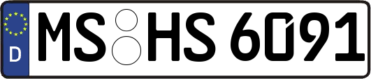 MS-HS6091