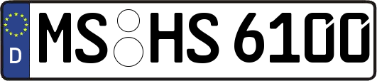 MS-HS6100