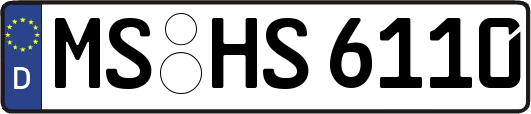 MS-HS6110