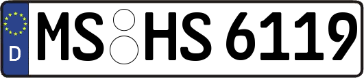 MS-HS6119