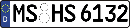MS-HS6132