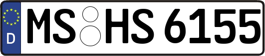 MS-HS6155
