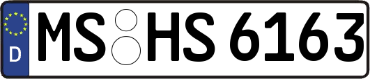 MS-HS6163