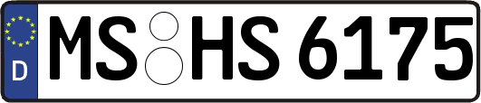 MS-HS6175