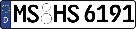 MS-HS6191