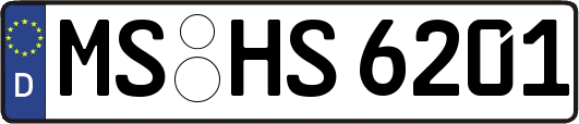 MS-HS6201