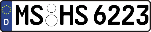 MS-HS6223
