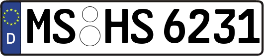 MS-HS6231