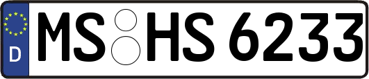 MS-HS6233