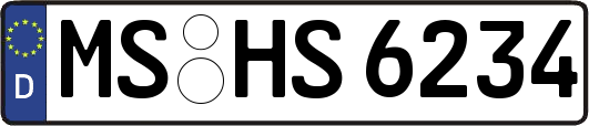 MS-HS6234