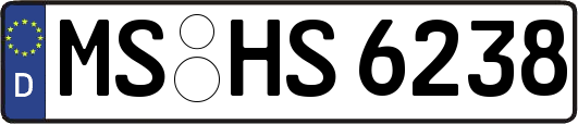 MS-HS6238