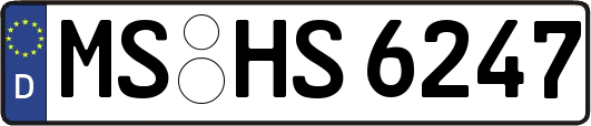 MS-HS6247