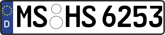 MS-HS6253