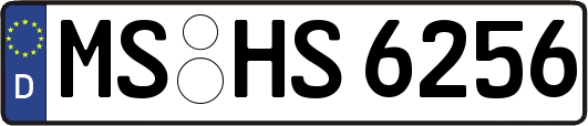 MS-HS6256