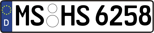 MS-HS6258