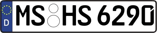 MS-HS6290