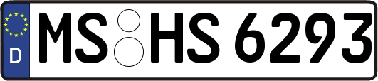 MS-HS6293