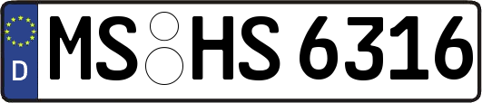 MS-HS6316