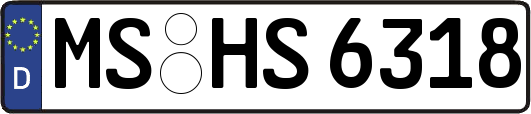 MS-HS6318