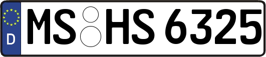 MS-HS6325
