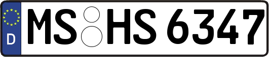 MS-HS6347
