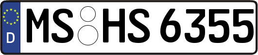 MS-HS6355