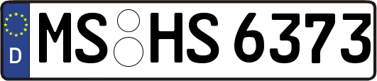 MS-HS6373