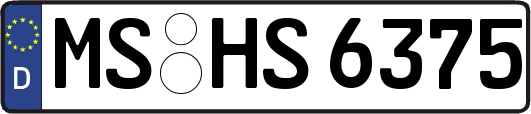 MS-HS6375
