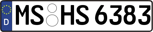 MS-HS6383