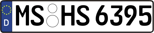 MS-HS6395