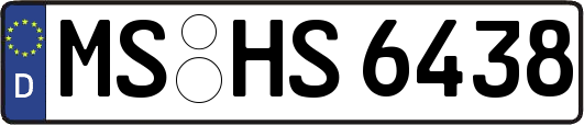 MS-HS6438