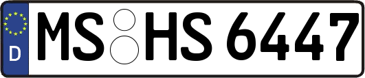MS-HS6447