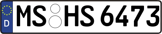 MS-HS6473