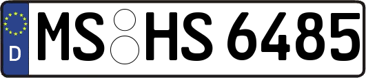 MS-HS6485