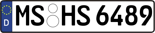 MS-HS6489